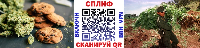 закладки  Фатеж  Cannafood конопля 