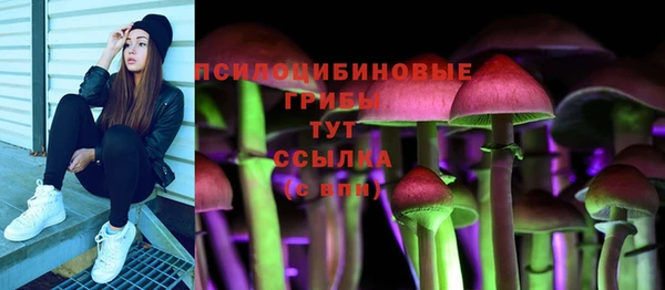 гашик Алзамай