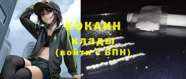 гашик Алзамай
