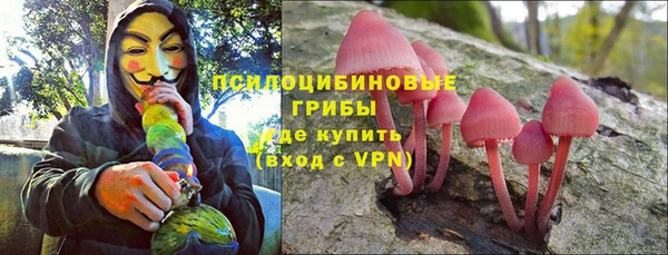 PSILOCYBIN Навашино